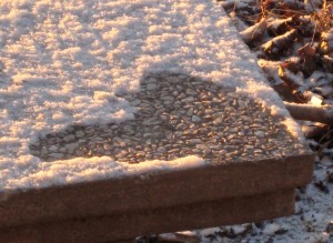 This is what greeted me when I looked out the window this morning! - Photo by Jan Ketchel