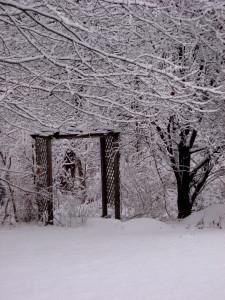 Are you ready to enter the portal of change... To consciously take the necessary steps? - Photo by Jan Ketchel