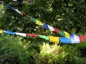 In breaking routine, I got to see the Tibetan prayer flags flying, spreading their messages to the world... - Photo by Jan Ketchel