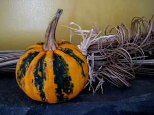 Is this squash really as vibrationally significant as we are? - Photo by Jan Ketchel