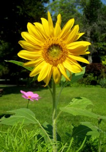 That we may all blossom...