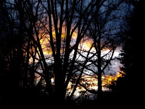 Some of the beauty of nature's repetition... - Photo by Chuck Ketchel